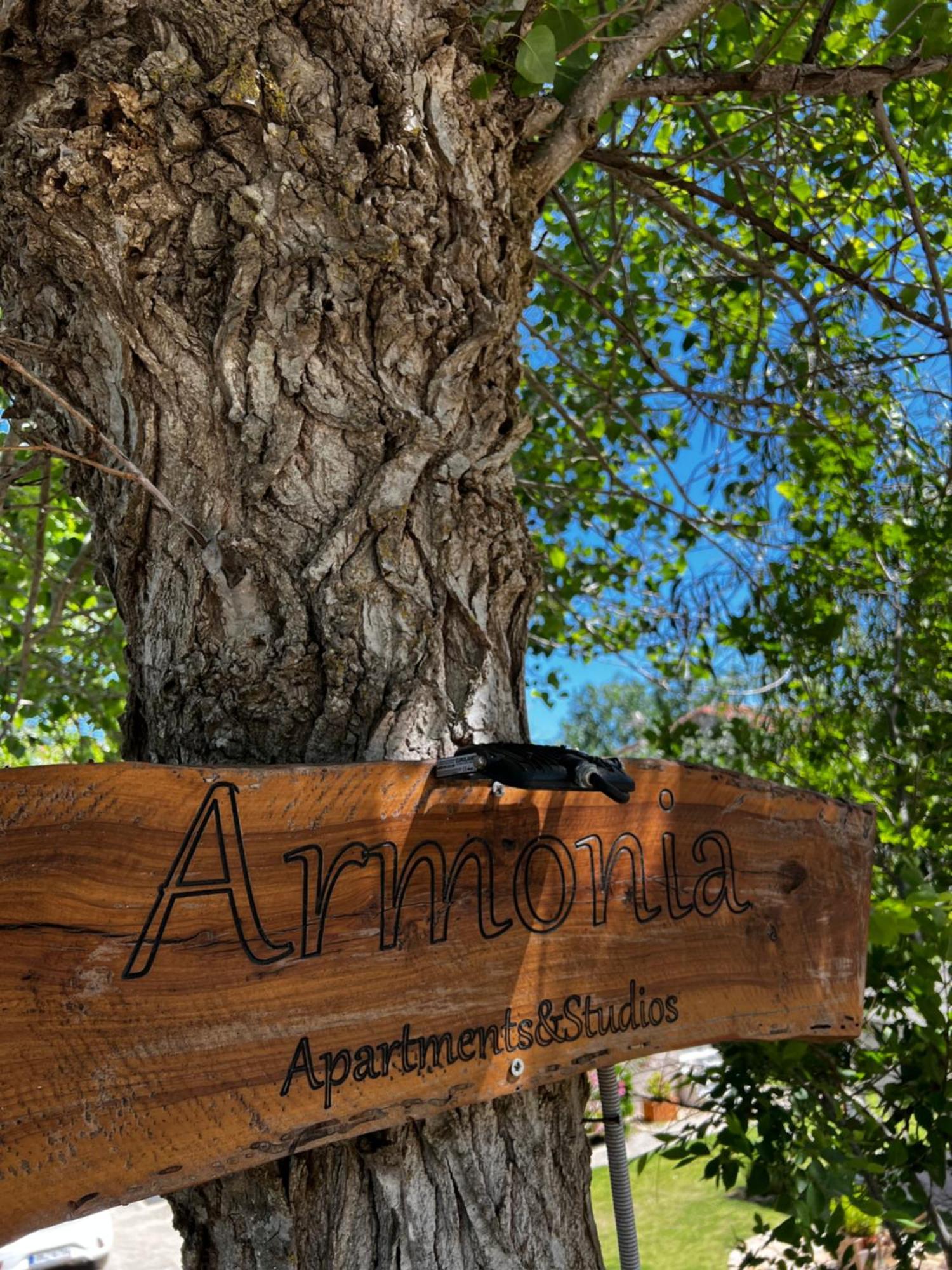 Armonia Apartments & Studios Perivólion Екстериор снимка